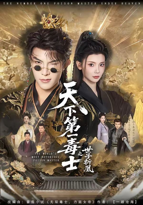天下第一毒士之世子折凰——电影糖果