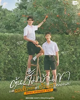 当橘子掉落时——吕剧大全
